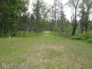463 E 11 Mile Rd, Irons, MI 49644 photo 16