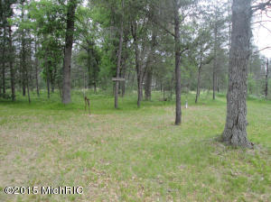 463 E 11 Mile Rd, Irons, MI 49644 photo 18
