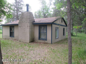 463 E 11 Mile Rd, Irons, MI 49644 photo 2