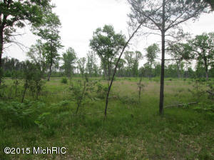 463 E 11 Mile Rd, Irons, MI 49644 photo 15