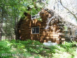 2409 E 8 Mile Rd, White Cloud, MI 49349 photo 20
