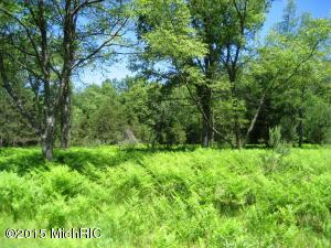 2409 E 8 Mile Rd, White Cloud, MI 49349 photo 23