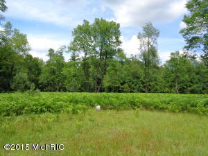 2409 E 8 Mile Rd, White Cloud, MI 49349 photo 24