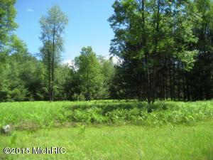 2409 E 8 Mile Rd, White Cloud, MI 49349 photo 22