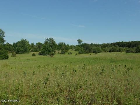 21571 Hulls Rd, Copemish, MI 49625 photo 9