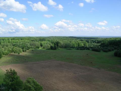 21571 Hulls Rd, Copemish, MI 49625 photo 2