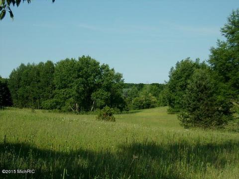21571 Hulls Rd, Copemish, MI 49625 photo 8