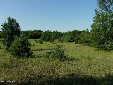 21571 Hulls Rd, Copemish, MI 49625 photo 6
