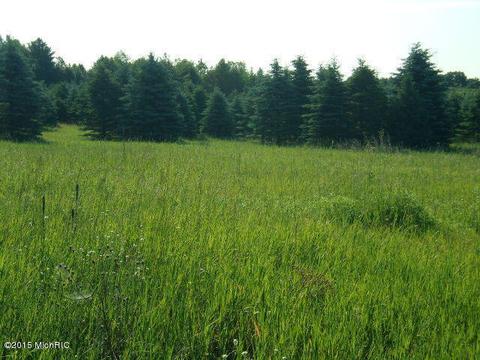 21571 Hulls Rd, Copemish, MI 49625 photo 29