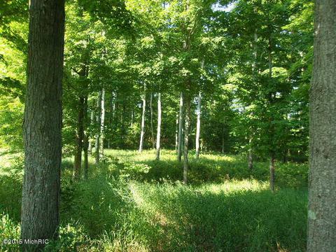 21571 Hulls Rd, Copemish, MI 49625 photo 28