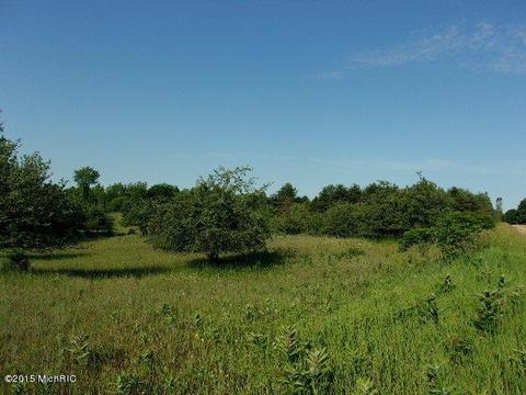 21571 Hulls Rd, Copemish, MI 49625 photo 3