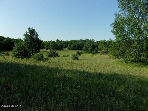 21571 Hulls Rd, Copemish, MI 49625 photo 5