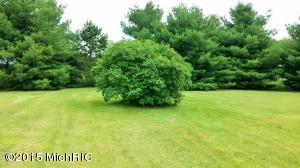 4500 Cutler Rd, Edmore, MI 48829 photo 4