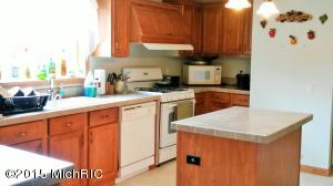 4500 Cutler Rd, Edmore, MI 48829 photo 9