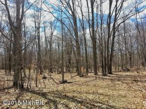 4522 E Van Buren, White Cloud, MI 49349 photo 11