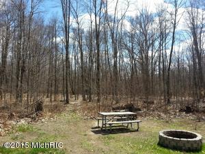 4522 E Van Buren, White Cloud, MI 49349 photo 9