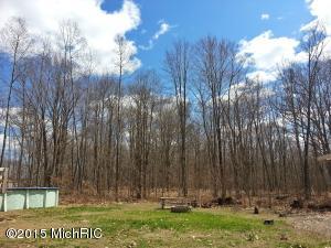 4522 E Van Buren, White Cloud, MI 49349 photo 4