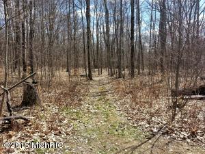4522 E Van Buren, White Cloud, MI 49349 photo 10