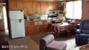 1075 Channel Ave, Bitely, MI 49309 photo 14