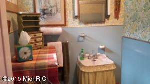 1075 Channel Ave, Bitely, MI 49309 photo 21