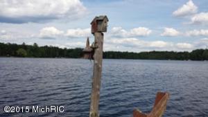 1075 Channel Ave, Bitely, MI 49309 photo 8
