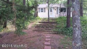 1075 Channel Ave, Bitely, MI 49309 photo 12