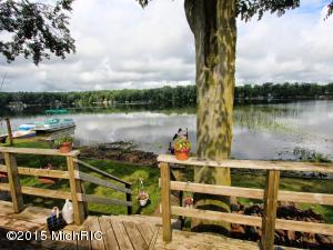 181 Beechwood Dr SW, Stanton, MI 48888 photo 9