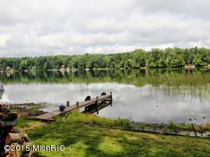 181 Beechwood Dr SW, Stanton, MI 48888 photo 6
