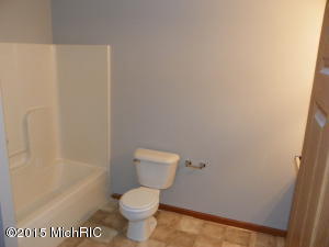 807 Morgan St, Belding, MI 48809 photo 10
