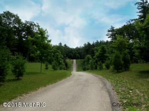 3140 Eagles Nest Trl, Newaygo, MI 49337 photo 65