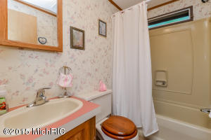 6017 N Johnson Rd, Belding, MI 48809 photo 8