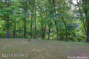 9588 S Cedar Dr, Allendale, MI 49401 photo 38