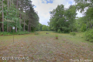 9588 S Cedar Dr, Allendale, MI 49401 photo 37