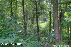 9588 S Cedar Dr, Allendale, MI 49401 photo 39