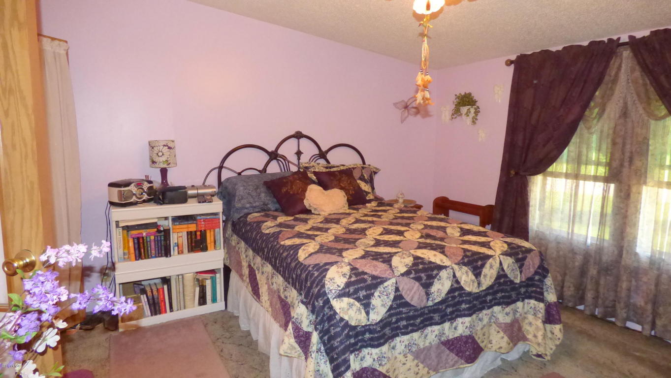 3973 E River Rd, Buchanan, MI 49107 photo 41