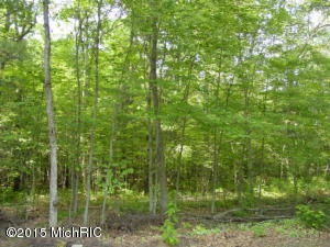 4320 E 82nd St, Newaygo, MI 49337 photo 15
