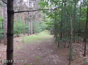 9394 E 36th St, Newaygo, MI 49337 photo 66