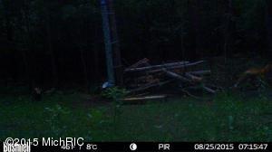 9394 E 36th St, Newaygo, MI 49337 photo 72