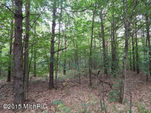 9394 E 36th St, Newaygo, MI 49337 photo 53