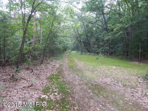 9394 E 36th St, Newaygo, MI 49337 photo 65