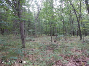 9394 E 36th St, Newaygo, MI 49337 photo 52