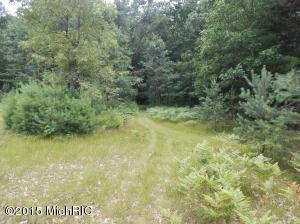 9394 E 36th St, Newaygo, MI 49337 photo 54
