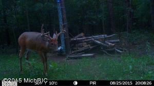 9394 E 36th St, Newaygo, MI 49337 photo 71