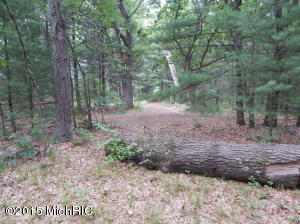 9394 E 36th St, Newaygo, MI 49337 photo 55