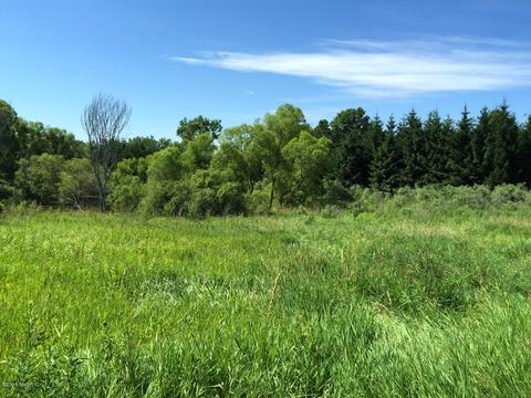9519 N Warner, Bitely, MI 49309 photo 10