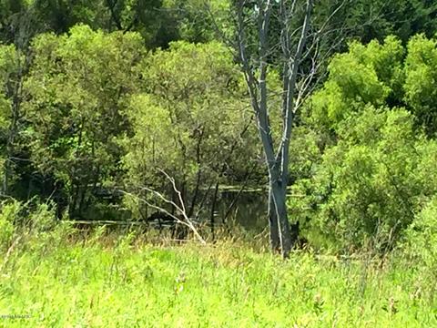 9519 N Warner, Bitely, MI 49309 photo 8
