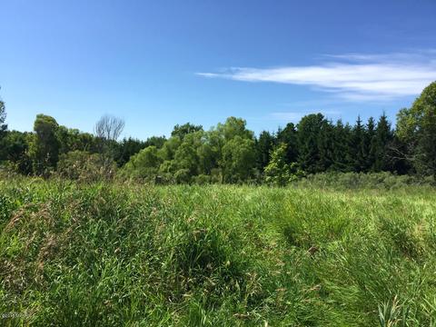 9519 N Warner, Bitely, MI 49309 photo 9