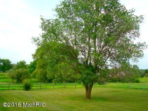 3581 W Moore Rd, Bailey, MI 49303 photo 17