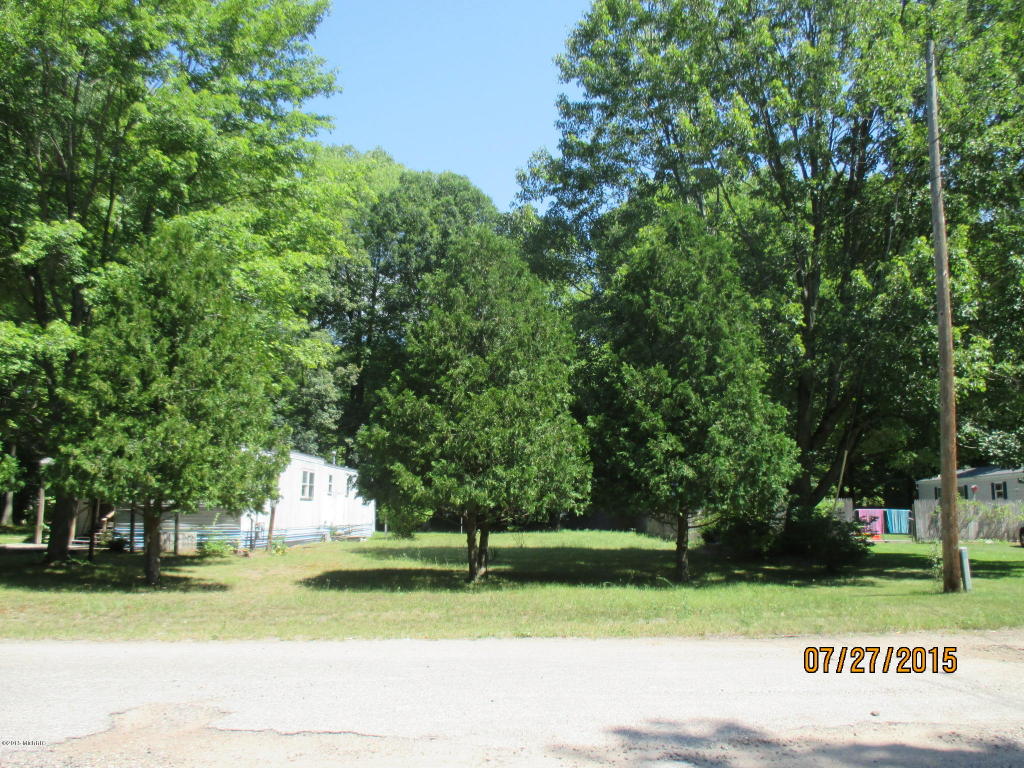 860 S Goode, White Cloud, MI 49349 photo 19