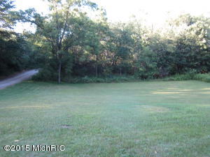 9305 Conservation St NE, Ada, MI 49301 photo 9
